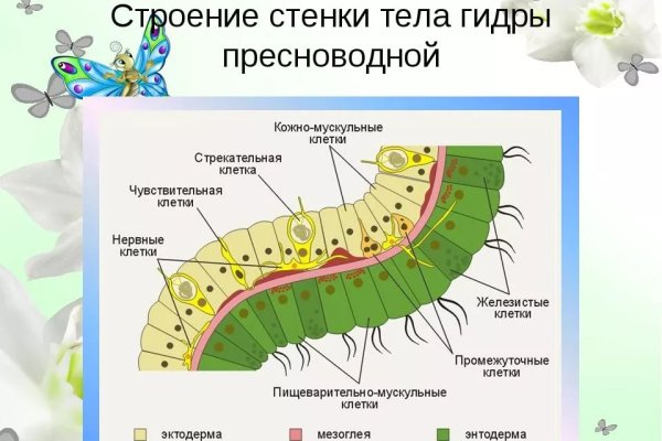 Кракен сайт store