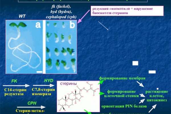 Кракен рабочая ссылка тор