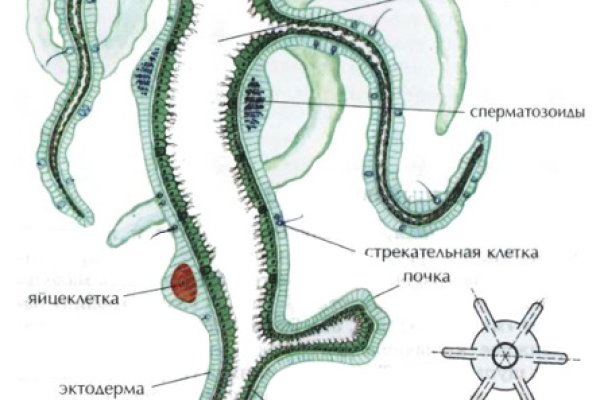 Кракен наркотики в оренбурге