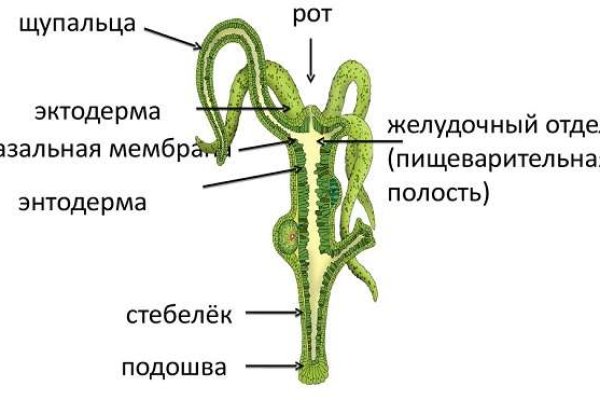 Кракен маркетплейс телеграм