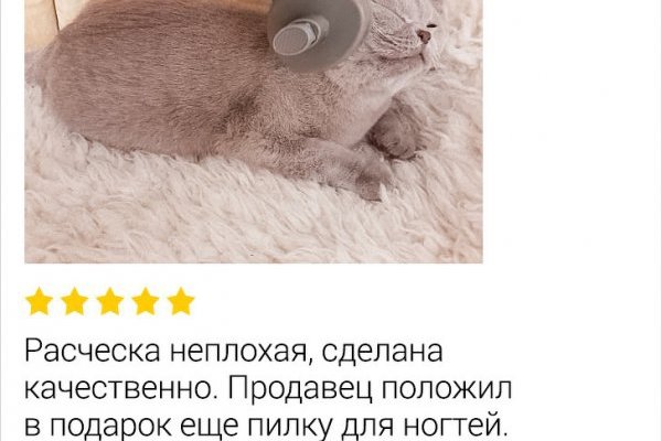 Рабочее зеркало на кракен