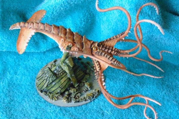 Kraken рынок