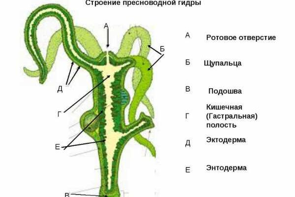 Ссылка на кракен тор браузер