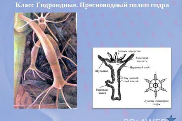 Ссылки на даркнет
