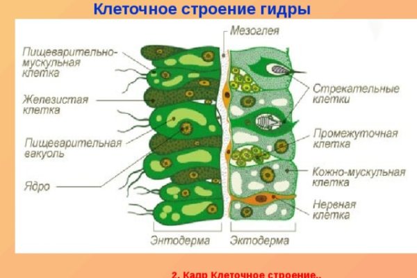 Ссылка на кракен свежая