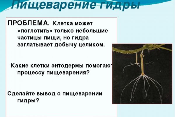 Кракен даркнет площадка