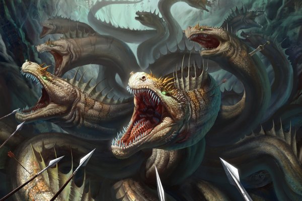 Kraken dark net