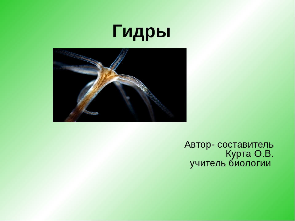 Магазины наркотиков