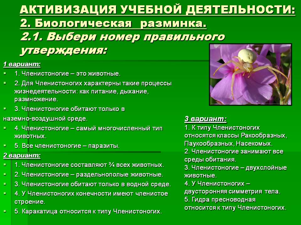 Кракен не грузит