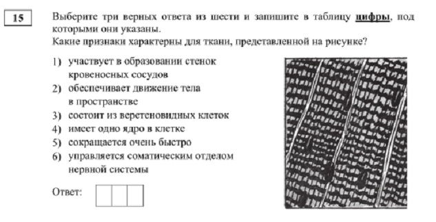 Кракен зеркала krk store com